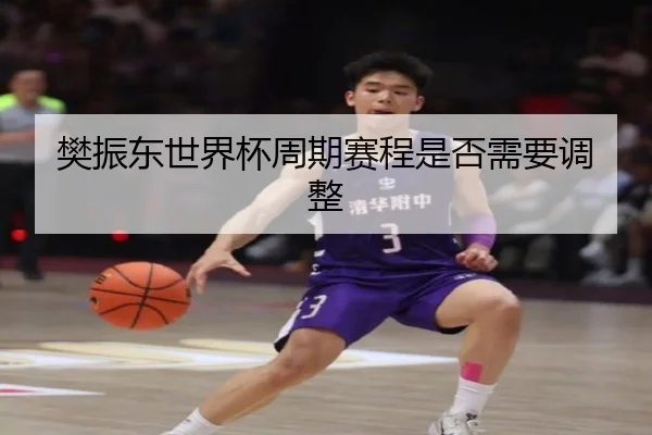 樊振东世界杯周期赛程是否需要调整